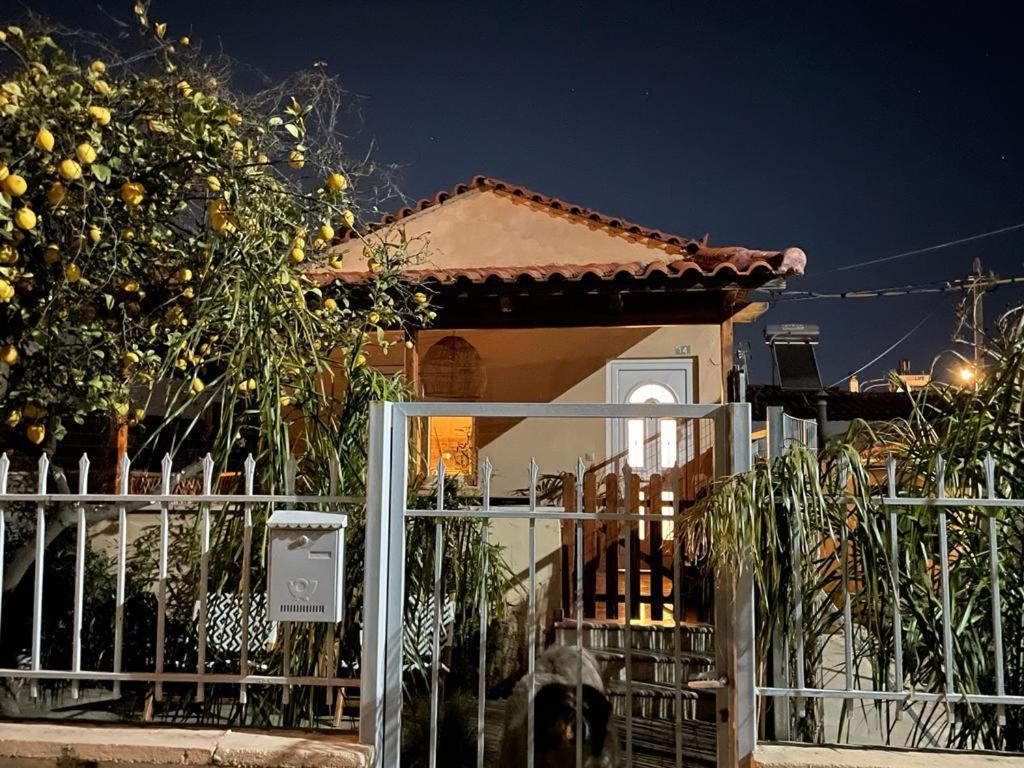 Agapi Home Agios Spyridon  Exteriér fotografie